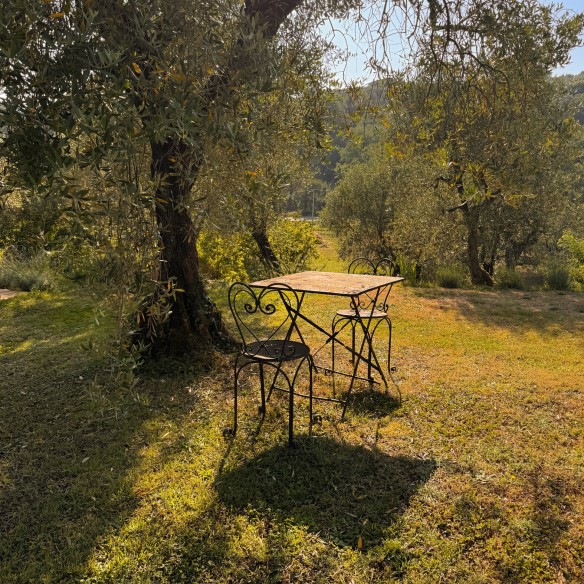 Le Molina B&B