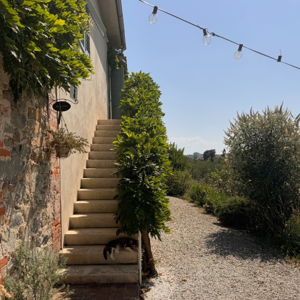 Le Molina B&B