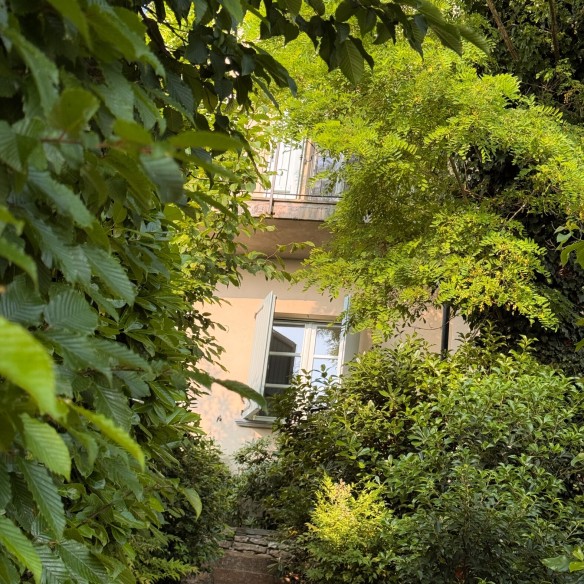 Il Borgo dei Gatti