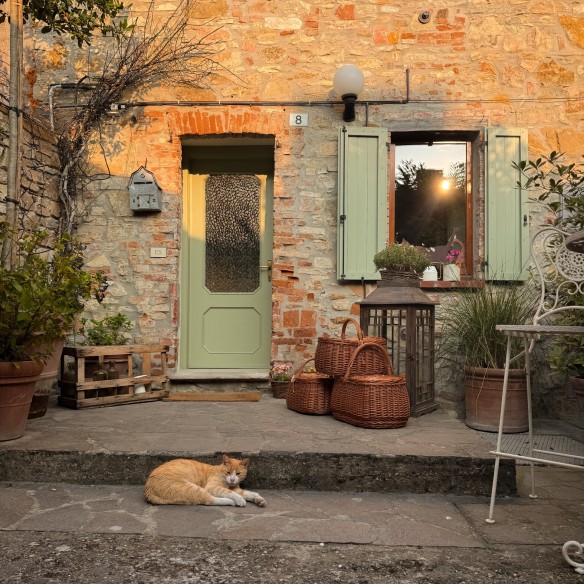 Il Borgo dei Gatti