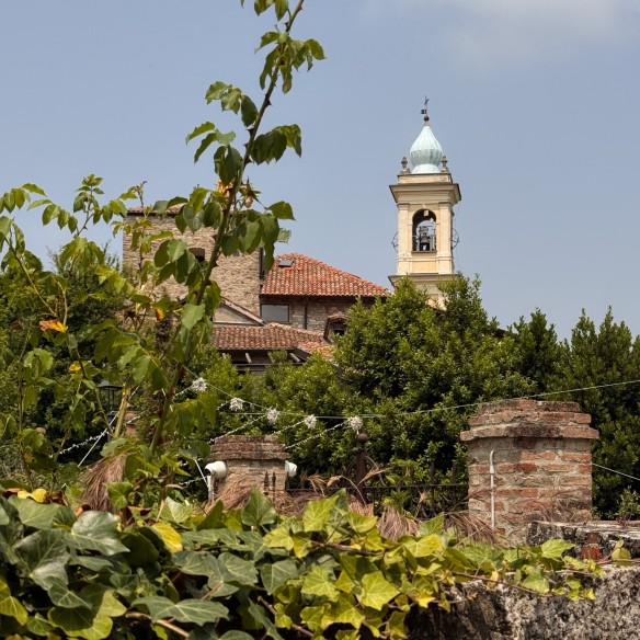 Il Borgo dei Gatti