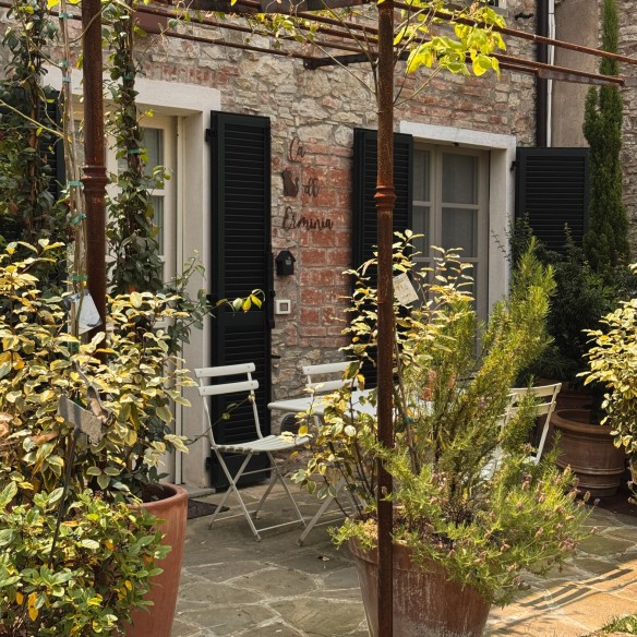 Il Borgo dei Gatti