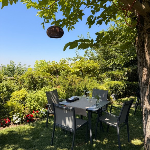Il Borgo dei Gatti