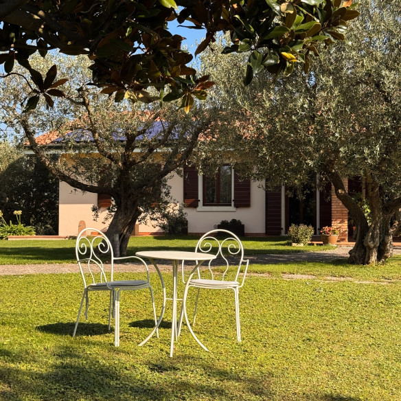 Carpino Nero