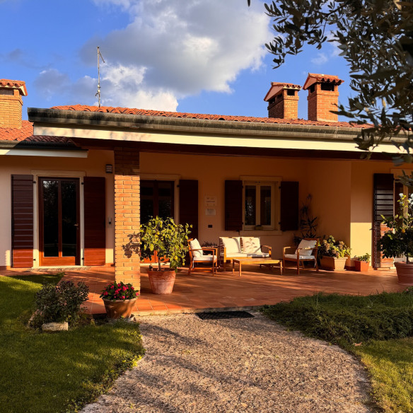 Carpino Nero