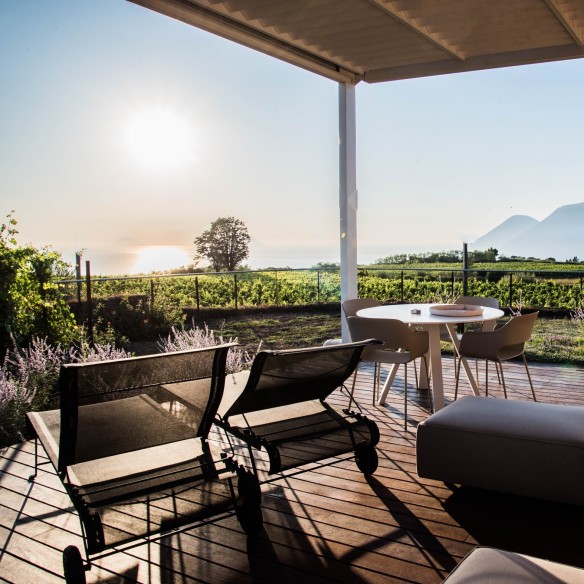 Tenuta di Castellaro