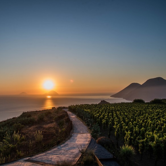 Tenuta di Castellaro