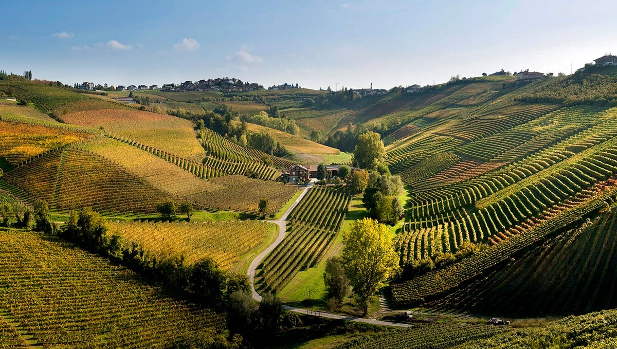 Ca’ del Baio: una cantina tutta al femminile dove il vino racconta una storia di famiglia