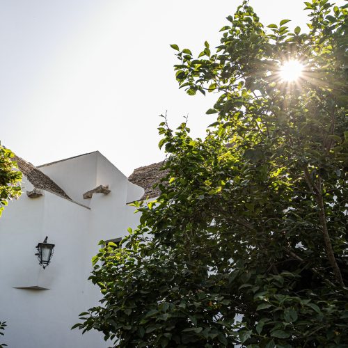 masseria-il-pergolo-25
