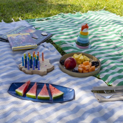 Pic nic 4 copia