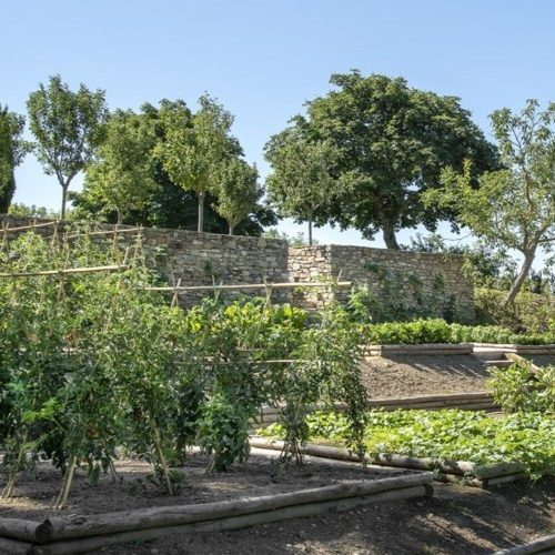 badia-di-pomaio-11.jpg