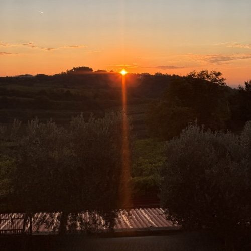 carpino-nero-25.jpg
