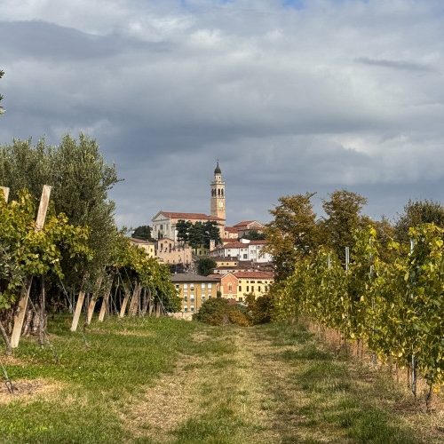 carpino-nero-9.jpg