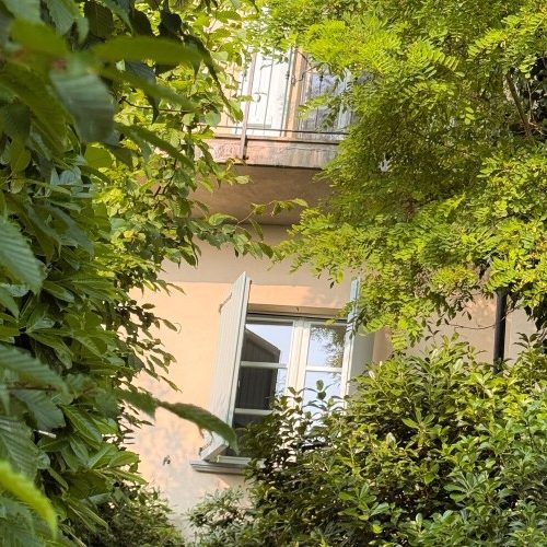 il-borgo-dei-gatti-25.jpg
