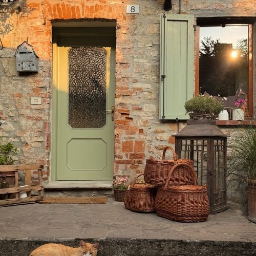 il-borgo-dei-gatti-3.jpg