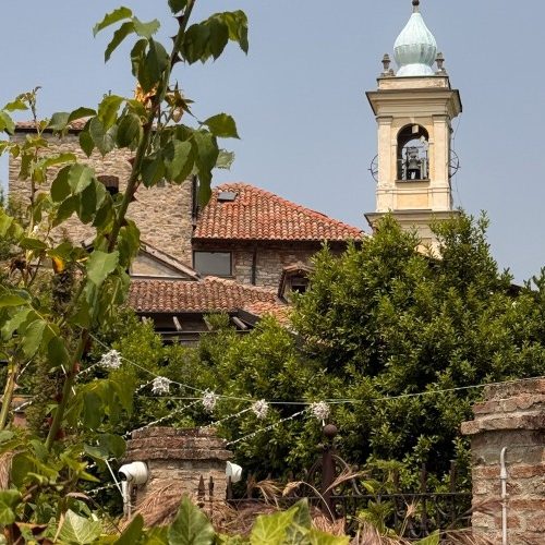 il-borgo-dei-gatti-34.jpg