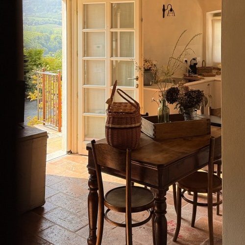 il-borgo-dei-gatti-4.jpg