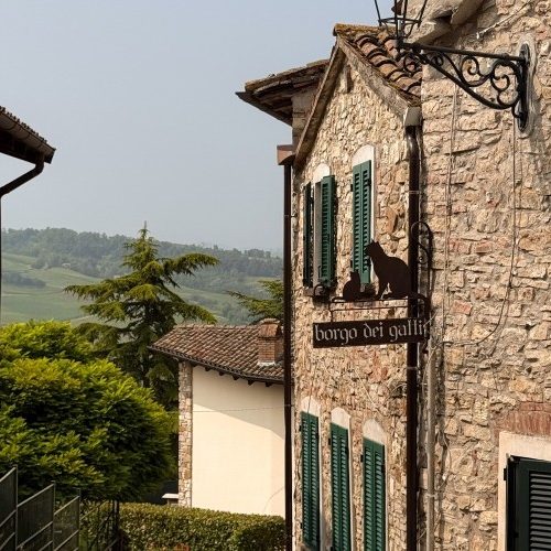 il-borgo-dei-gatti-5.jpg