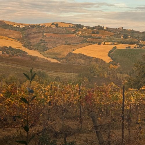 relais-cocci-grifoni-34.jpg