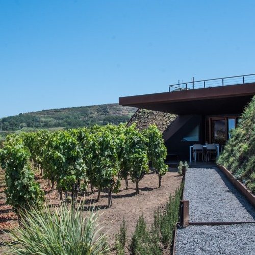 tenuta-di-castellaro-6.jpg