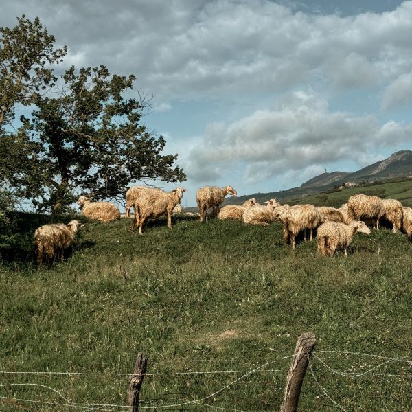 vacanza-in-maremma