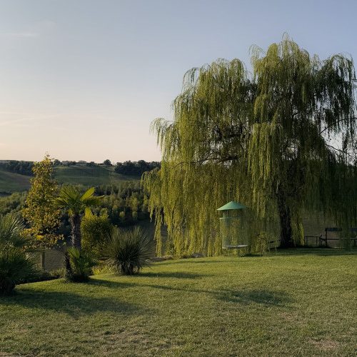 villa-agavi-41.jpg